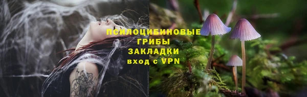 марки nbome Горняк