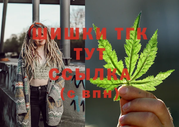 МДПВ Горнозаводск