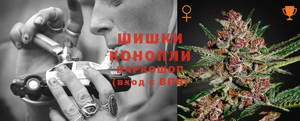 МДПВ Горнозаводск
